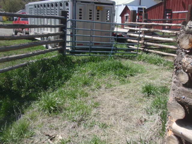 P4262848.JPG