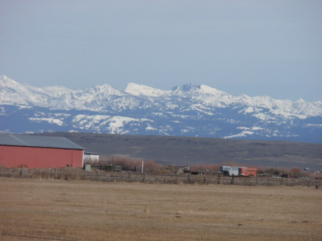 P2241833.JPG