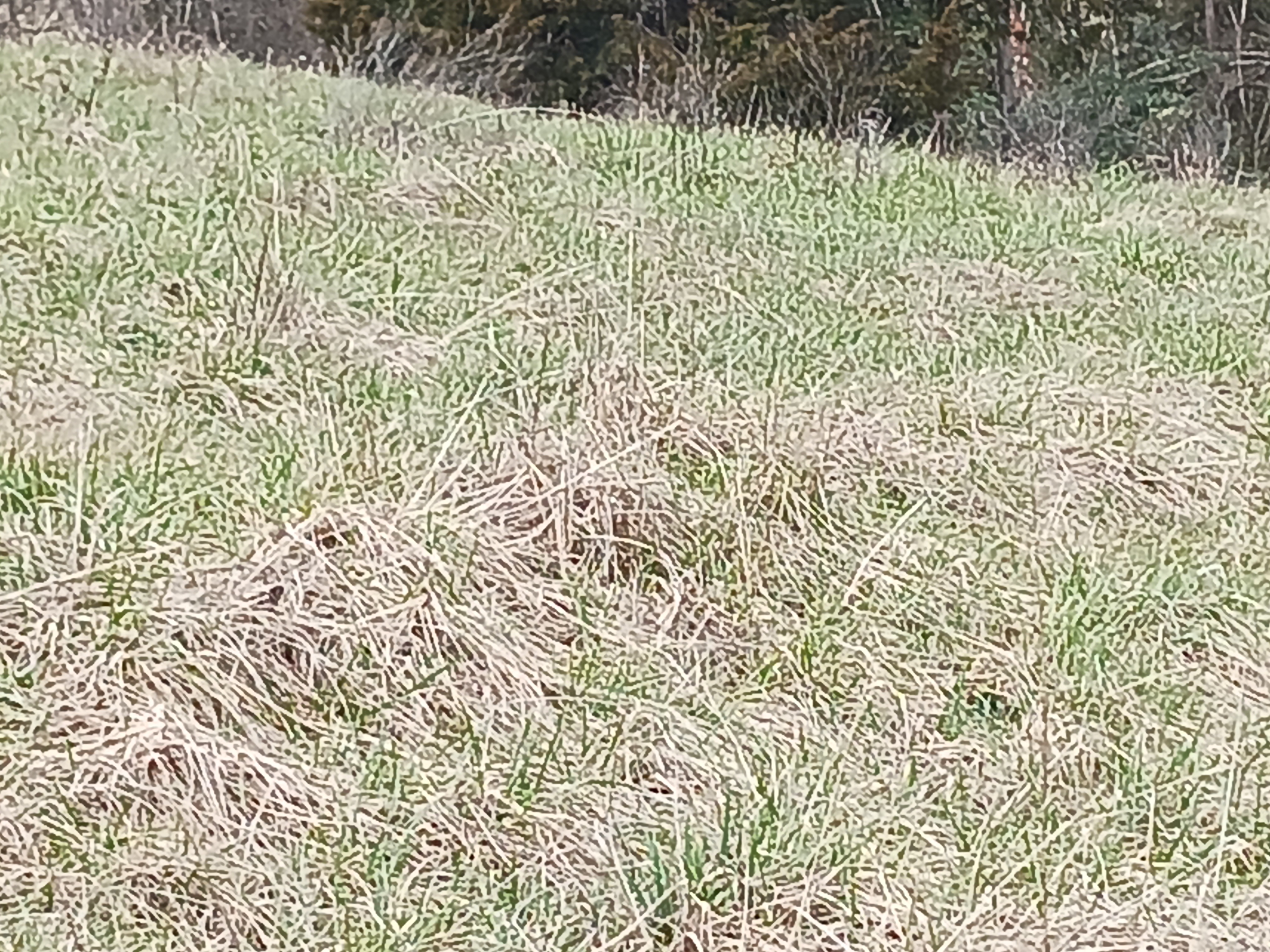 20230215_135048.jpg