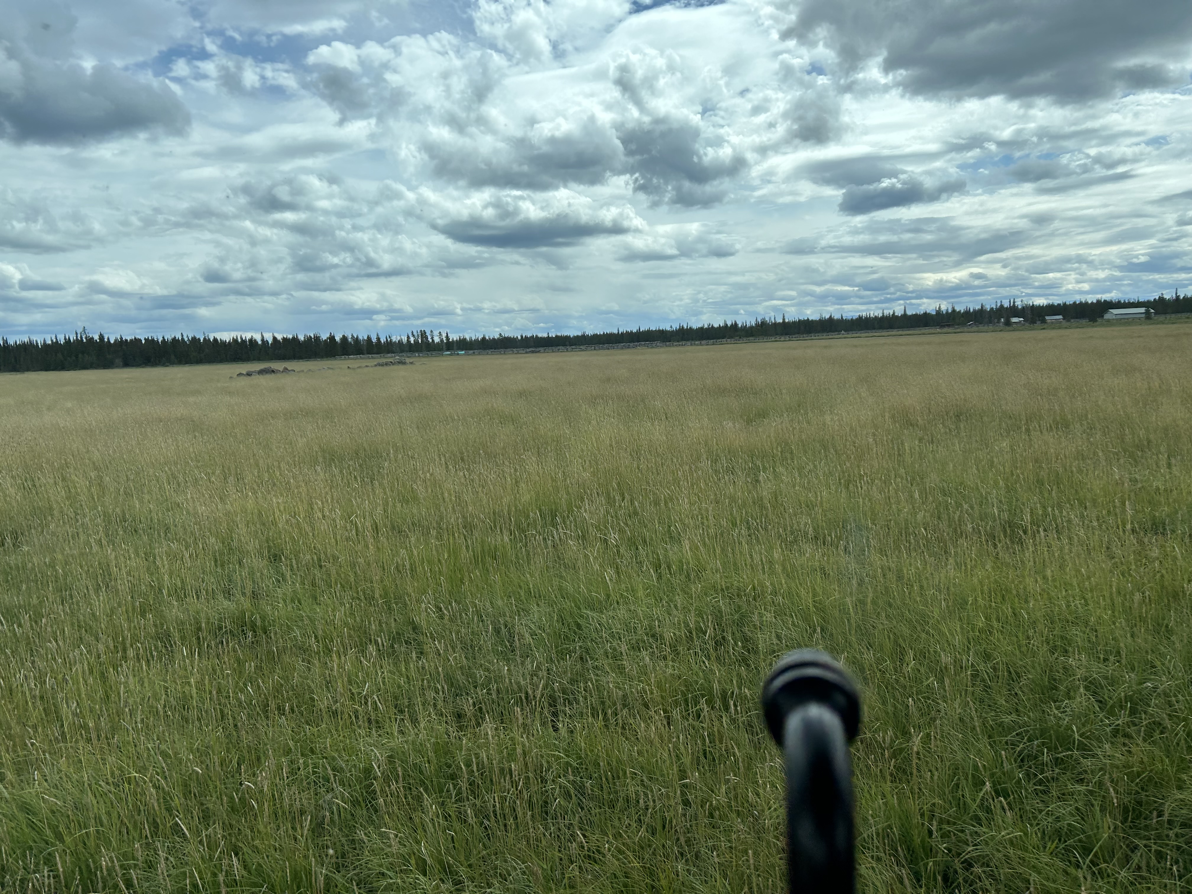 IMG_0414.jpeg