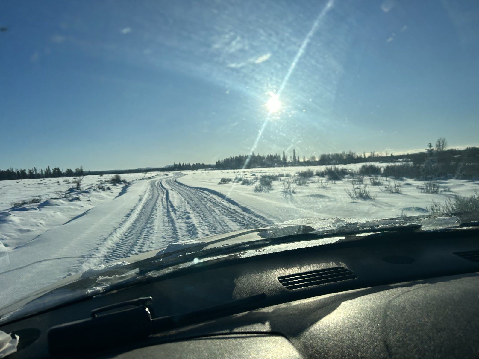 IMG_1263.jpeg