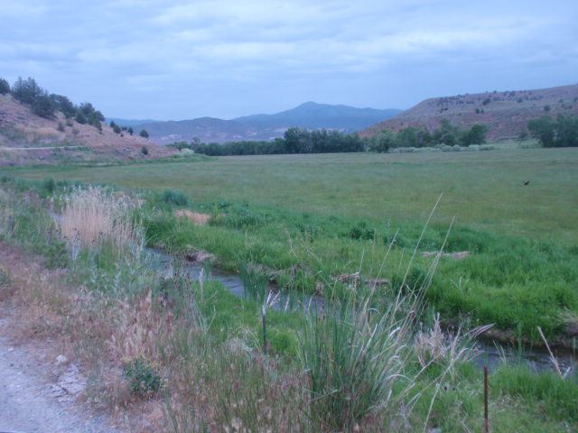 P6023214.JPG