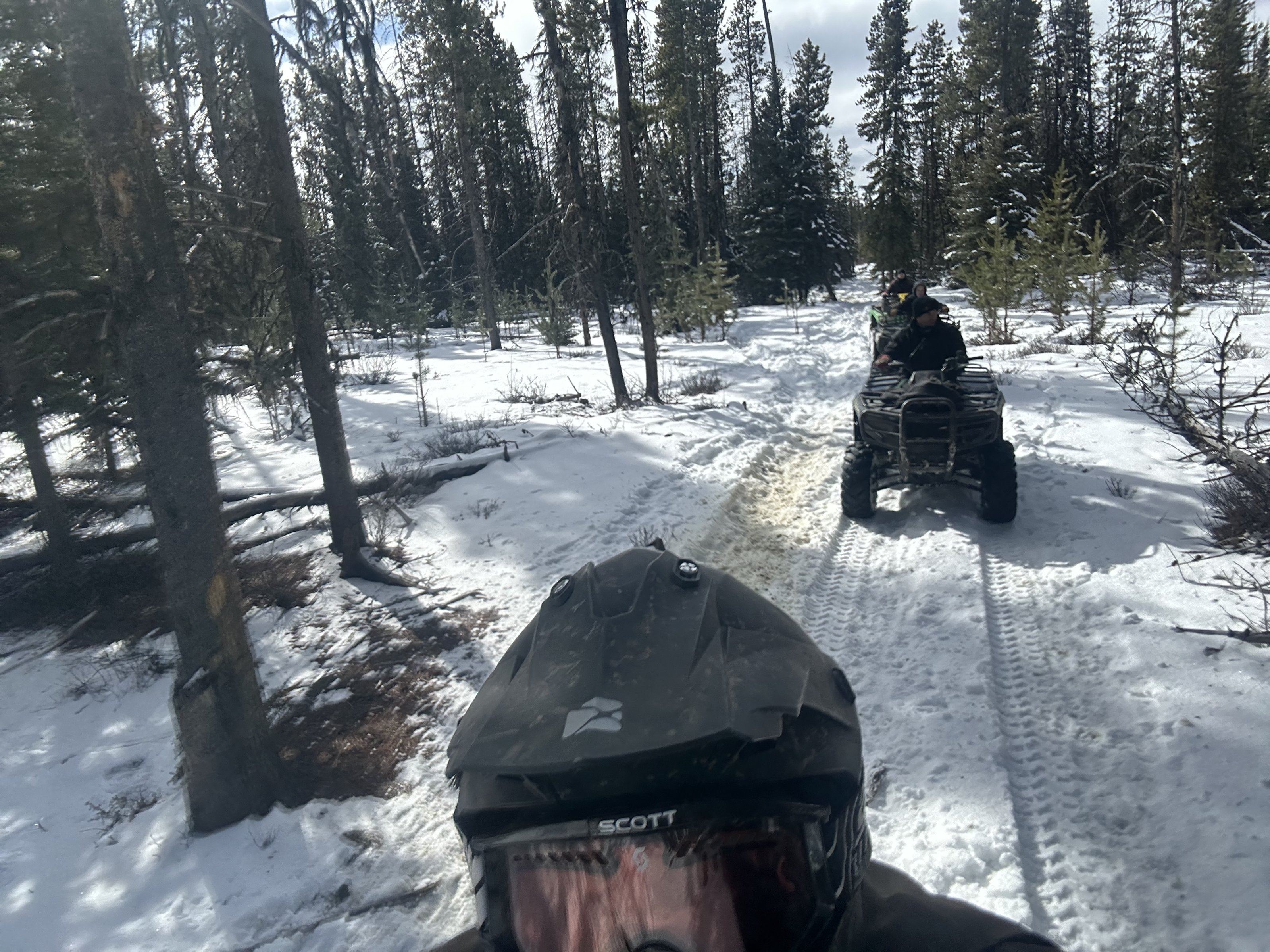 IMG_4513.jpeg