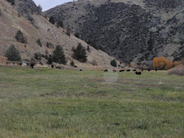 PB040212.JPG