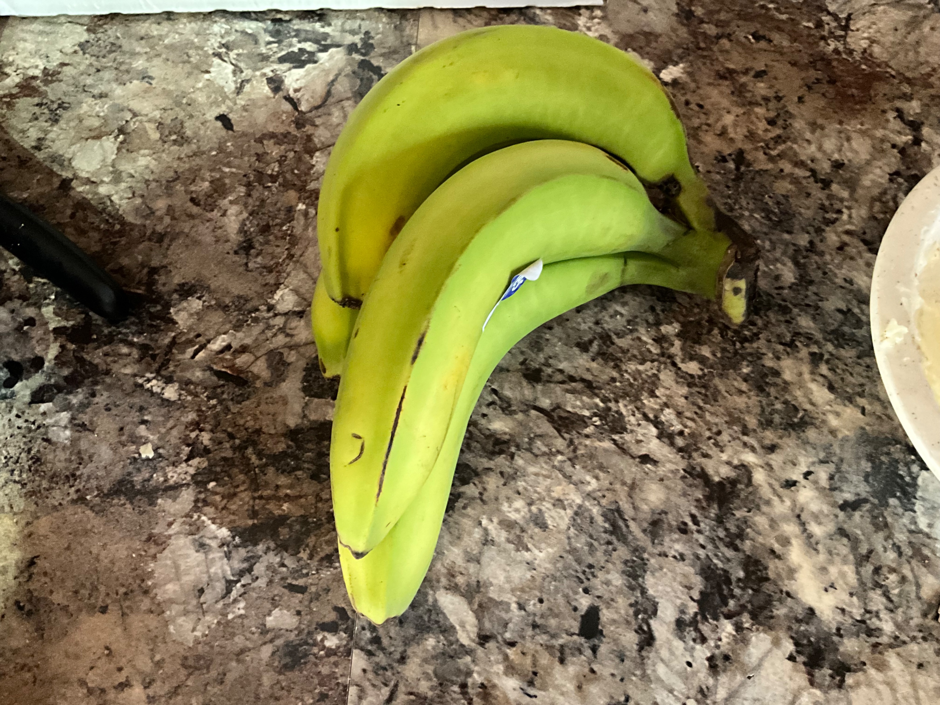 IMG_1547.jpeg