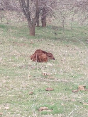 20250308_105055.jpg