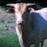 Smokey Bull