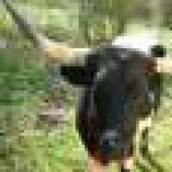 prosperityranch