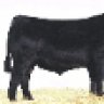 la4angus