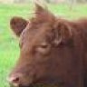 Farmgirl