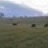 Short Fuse Farm