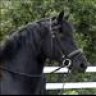 SilverCharm