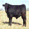 watso059