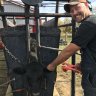 NewRenoFarmsInKY