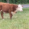 JND Farm