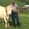 Hogfarmer10