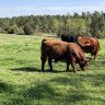 Stone Post Ranch