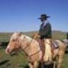 ThreeCrossBuckaroo