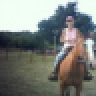 Chaty