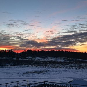 IMG_1745.jpeg