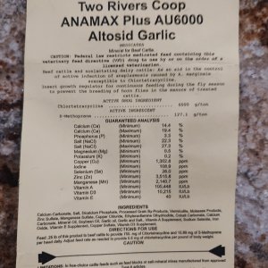 IMG_20260625_044840887.jpg