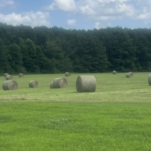 IMG_9073.jpeg