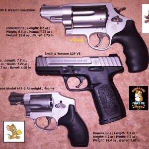 Smith and Wesson Handgun Collection.jpg