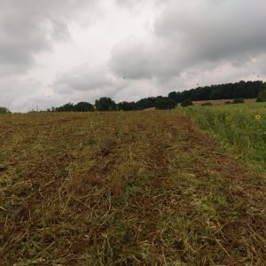 IMG_20220710_103832.jpg