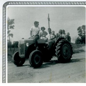 yorks8n.jpg